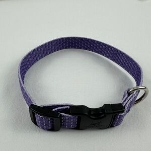 Lupine Pet Dog Collar 3/4" Lavender